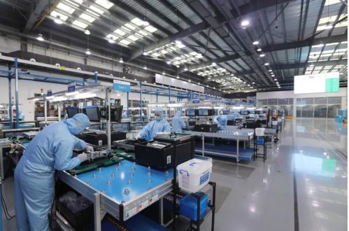 抗疫路上，我們都是一家人 從全民同心到精準紓困